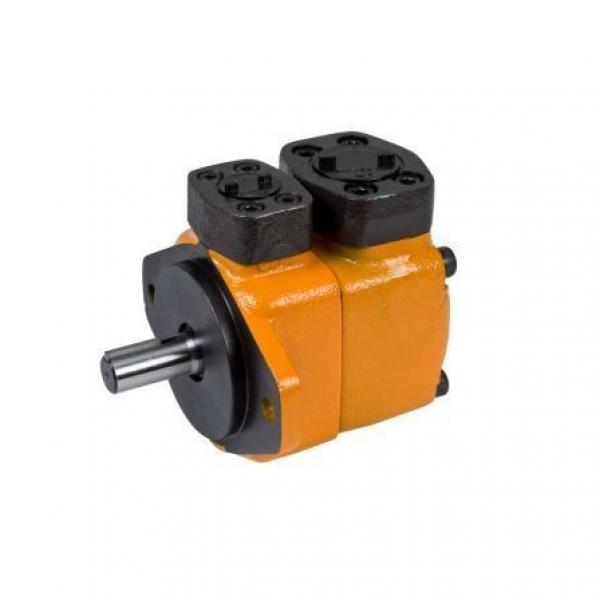 Blince PV2r Series Hydraulic Vane Pump (PV2R1/PV2R2/PV2R3) #1 image